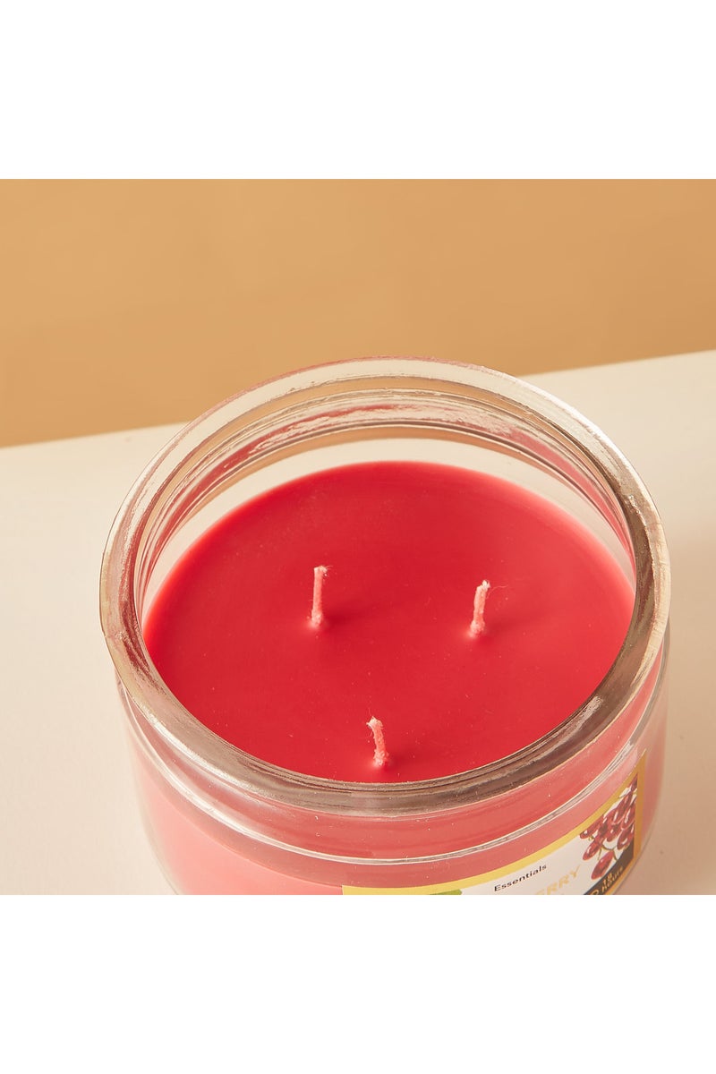 LIFESTYLE شمعة زجاجية معطرة بالتوت البري 3 فتائل - 18 ساعة - Image 4